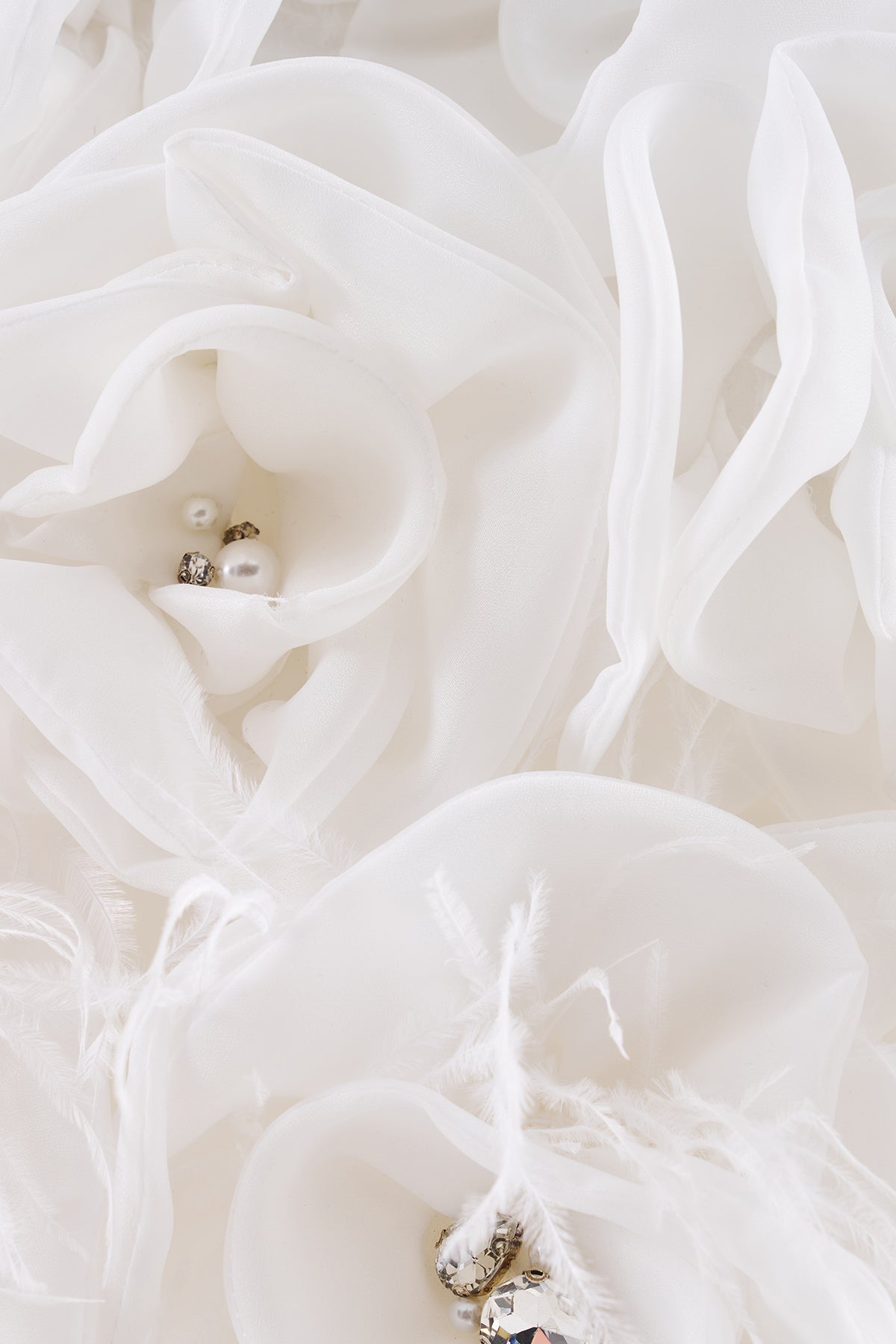 RÊVE DE ROSES