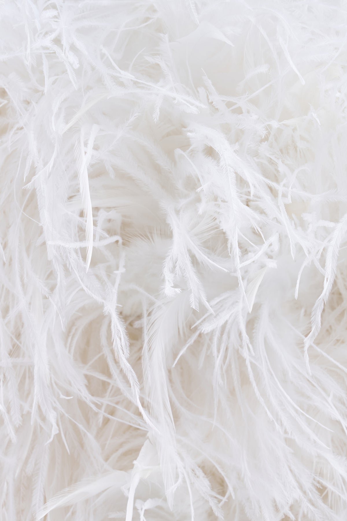 RÊVE BLANC